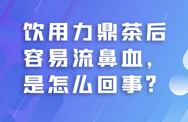 饮用力鼎茶后容易流鼻血,是怎么回事?