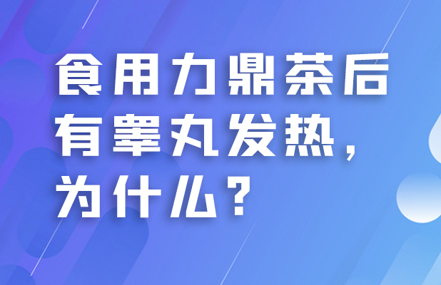 食用力鼎茶后有睾丸发热，为什么?